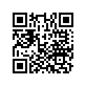 11300-ZG9-N20 SSBY-11-06113-ZE6-306-PANKIT,OIL