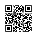 11322-48H00 PLUG, OIL GALLERY