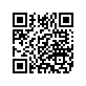 11323A ORING,X