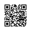 113533 Ring