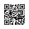 11381-29600 