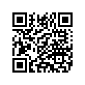 11387A ORING,FUELTUBE