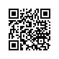 11394-044-306 GSKT,CK/C