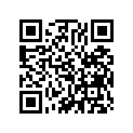 11394-333-306 Gasket