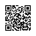 11394-MY2-623 GASKET, R.