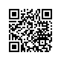 11396-969-306 Gasket, L.