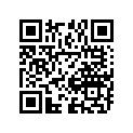 11400-92806 GASKETSET