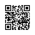 11400-95862 11403-95841-GASKETSET