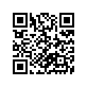11400-95866 11403-95841-GASKETSET