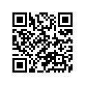 11410-98811 GASKETSET
