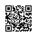 11483-14300-000 Gasket