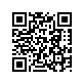 116-16523-00-00 PLATE,WT THRUST