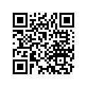 11693-319-306 Gasket b