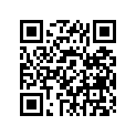 118-18121-00-00 Lever, Shift 1