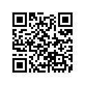 11802-ZA0-700 STAY,L.