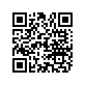 118571 NLA - 12-118571 - DECAL
