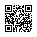 11H-17141-00-00 