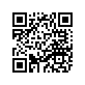 11H-17211-00-00 