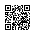 11H-17221-00-00 