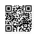 11H-17241-00-00 