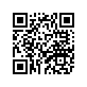 11H-17529-00-00 