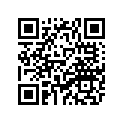 11H-81670-10-00 
