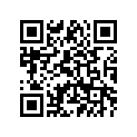 11H-82591-00-00 Band