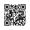 11U-W0045-00-00 Колодки Тормозные (Комплект)