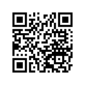 12053-007 Башмак натяжителя ремня