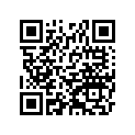 12053-1261 ガイド(チエ-ン)，RR，アウトサイド