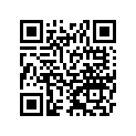 12053-S027 Guide-chain