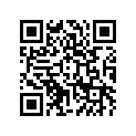 120530231 GUIDE-CHAIN,RR
