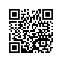 120530247 GUIDE-CHAIN