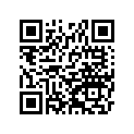 120531285 Guide-chain