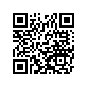 120531317 Guide-chain