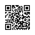120531465 Guide-chain, 12t       (option)