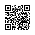 12053S013 Guide-chain