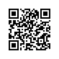 12100-01860-050 Комплект поршня