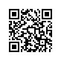 12100-13630-100 PISTON SET(OS:1.0)