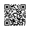 12100-22840-100 PISTON+CIRCLIPS