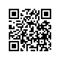 12100-23400-100 PISTON SET(OS:1.0)