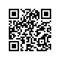 12100-27830-050 Комплект поршня