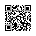12100-27833-050 Комплект поршня