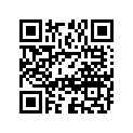 12100-28861-000 Комплект поршня