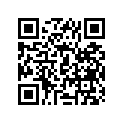 12101-02820-100 Комплект поршня