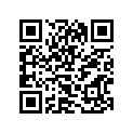 12101-14840-050 Комплект поршня