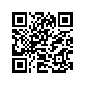12101-14850-025 Комплект поршня