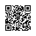 12102-02831-050 Комплект поршня