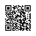 12103-03820-050 PISTON SET(OS:0.5)