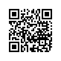 12103-03820-100 PISTON SET(OS:1.0)